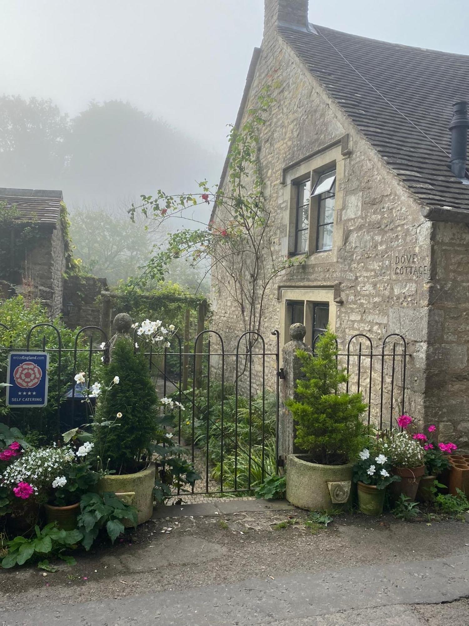 Dove Cottage Bisley  Eksteriør billede