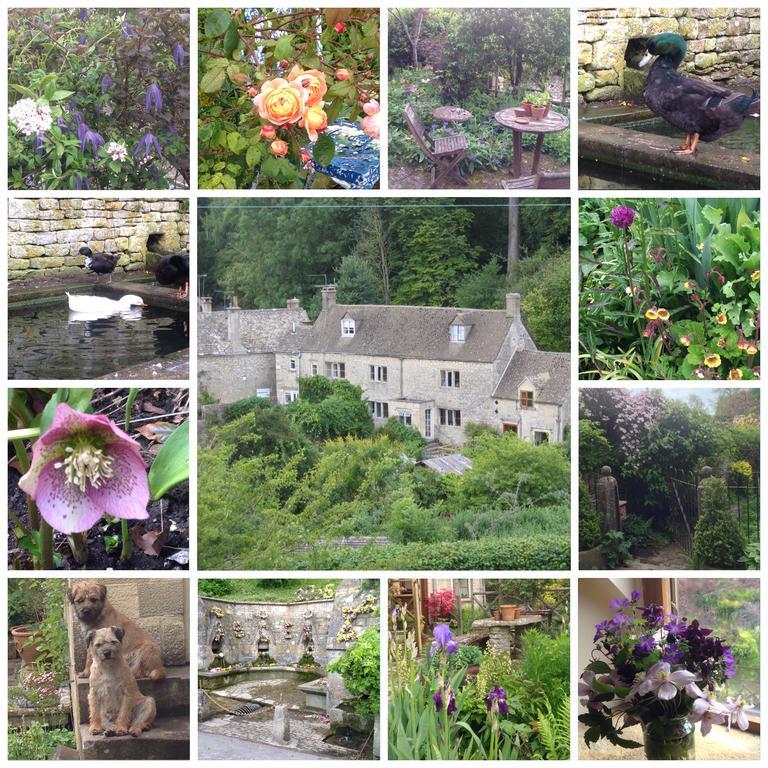 Dove Cottage Bisley  Eksteriør billede